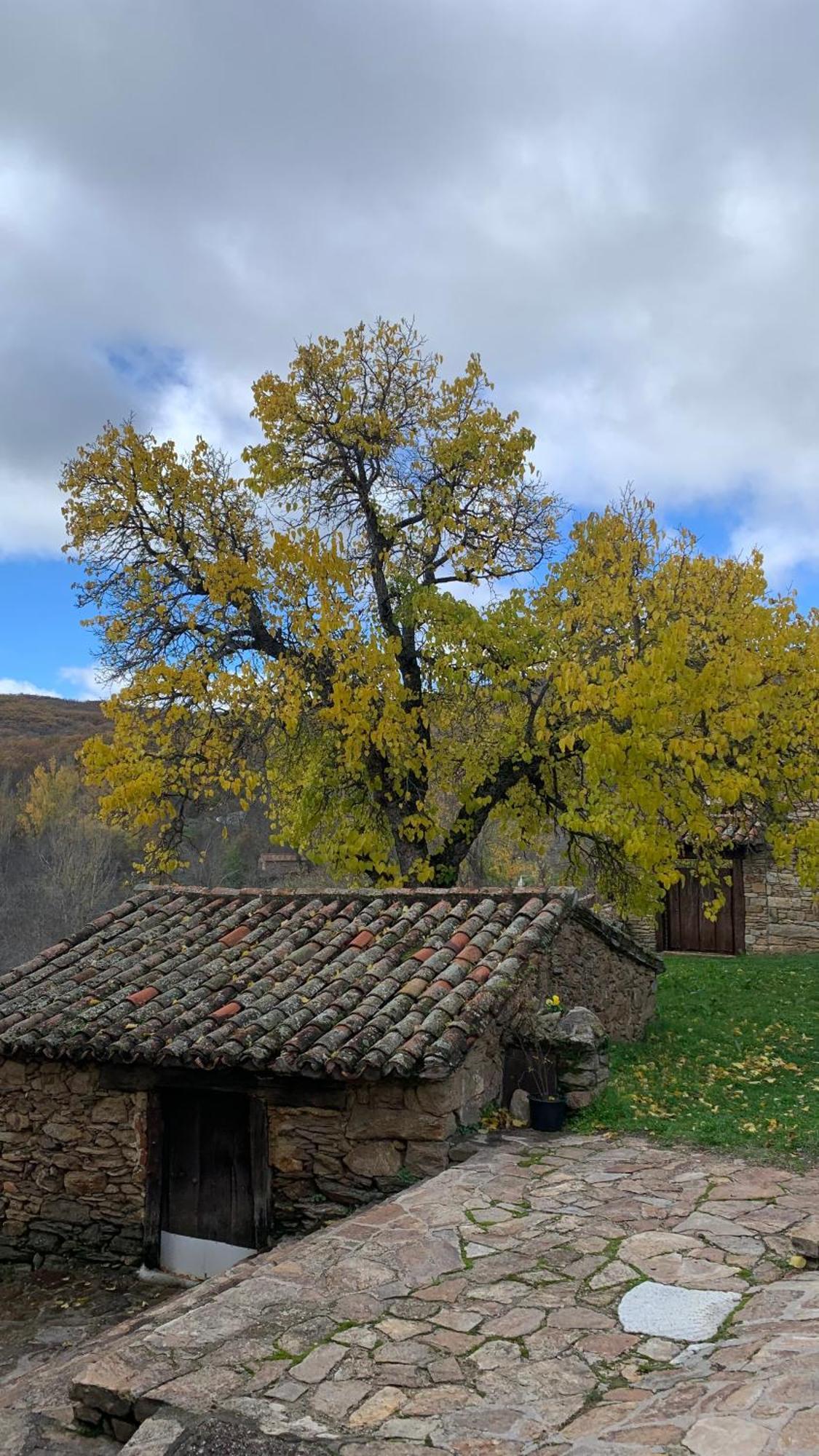 Al Viento, Alojamiento & Turismo Rural Pradena Del Rincon Eksteriør bilde