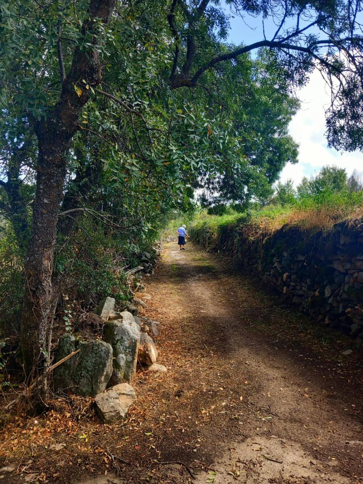 Al Viento, Alojamiento & Turismo Rural Pradena Del Rincon Eksteriør bilde