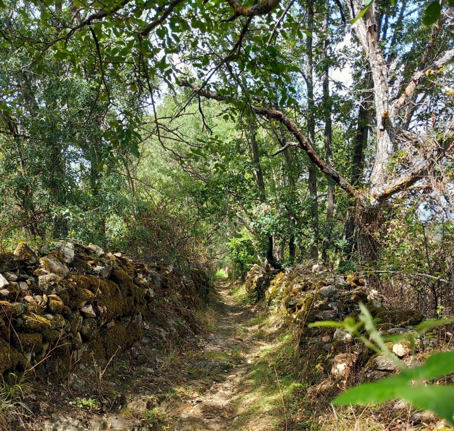 Al Viento, Alojamiento & Turismo Rural Pradena Del Rincon Eksteriør bilde