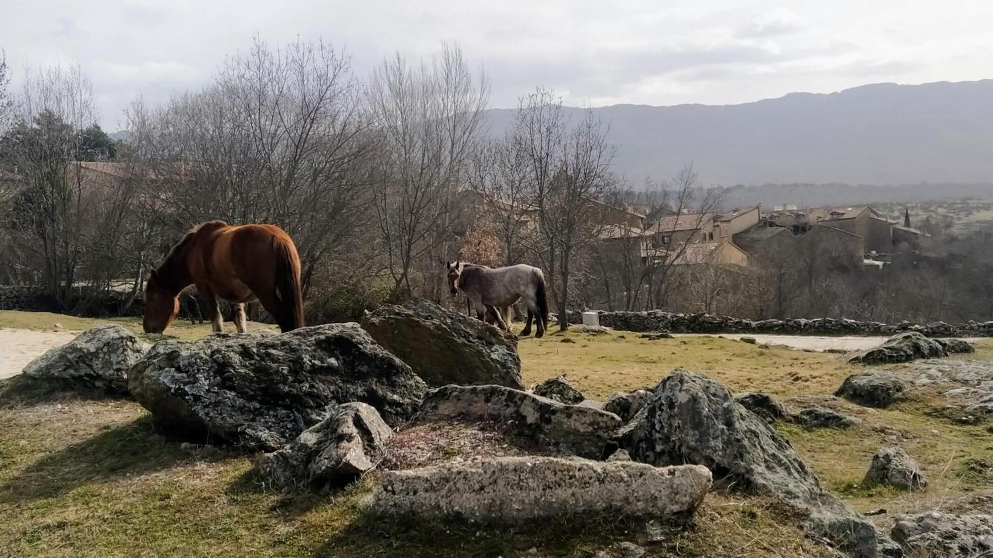Al Viento, Alojamiento & Turismo Rural Pradena Del Rincon Eksteriør bilde