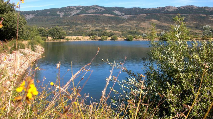 Al Viento, Alojamiento & Turismo Rural Pradena Del Rincon Eksteriør bilde