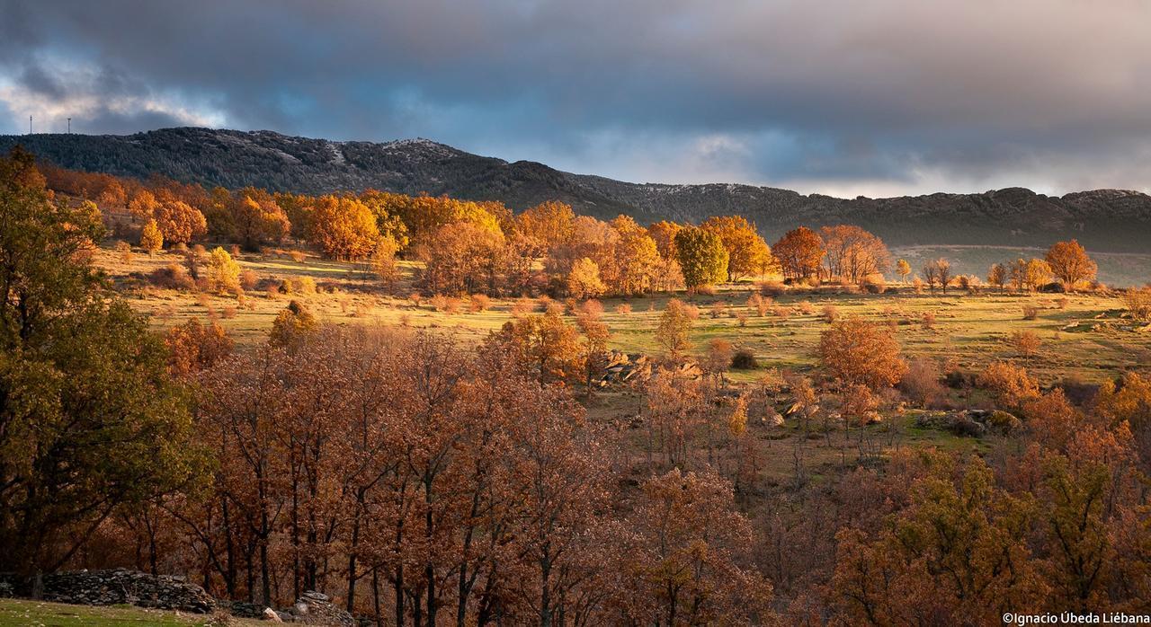 Al Viento, Alojamiento & Turismo Rural Pradena Del Rincon Eksteriør bilde